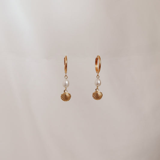 Mini Seashell Huggie Hoops
