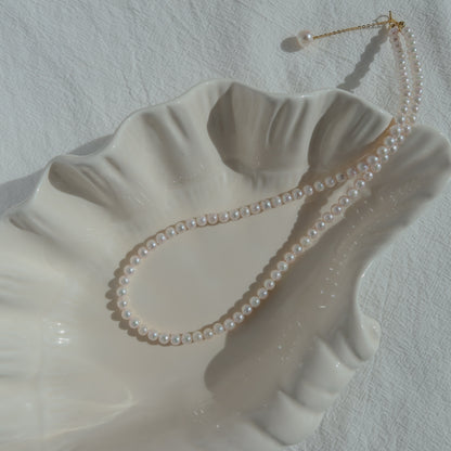 18k Gold Akoya Pearl Necklace resting on a white ceramic shell dish in natural sunlight, highlighting its luminous white Akoya pearls and delicate chain drop detail.