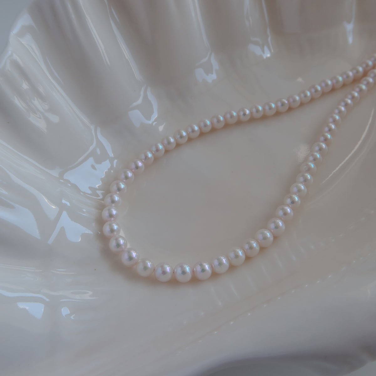 18k Gold Akoya Pearl Necklace resting on a white ceramic shell dish, showcasing its lustrous white Akoya pearls and delicate chain drop detail.