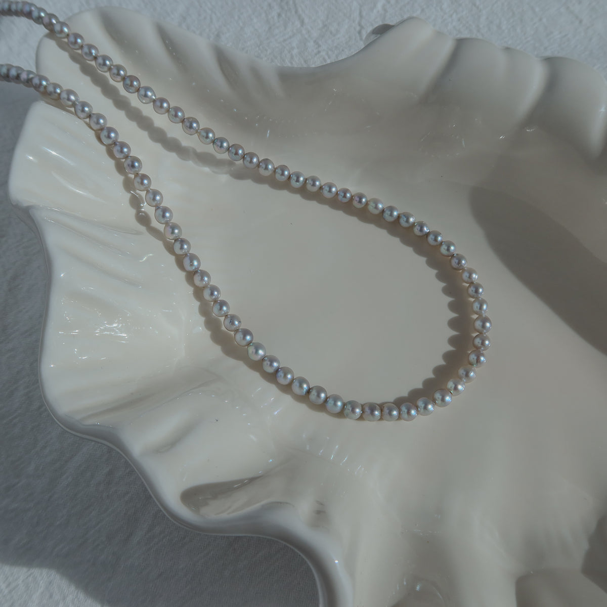 Blue Akoya Pearl Necklace resting on a white ceramic shell dish in warm sunlight, showcasing its lustrous blue Akoya pearls and delicate chain detail.