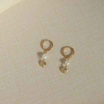 Mini Seashell Huggie Hoops