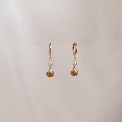 Mini Seashell Huggie Hoops