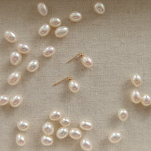 Load image into Gallery viewer, Lorraine Rice Pearl Studs
