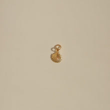 Load image into Gallery viewer, Seashell Pendants
