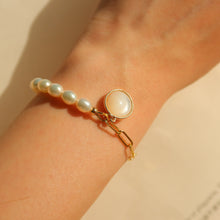 Load image into Gallery viewer, Grace Conch Star Bracelet
